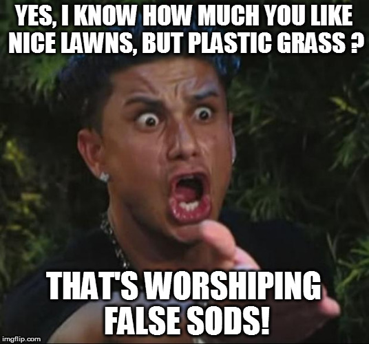 From the writings of Mowzes... | YES, I KNOW HOW MUCH YOU LIKE NICE LAWNS, BUT PLASTIC GRASS ? THAT'S WORSHIPING FALSE SODS! | image tagged in memes,dj pauly d,funny,grass | made w/ Imgflip meme maker