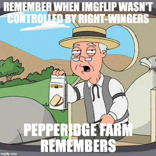 not saying it would be better with those crazy left wingers either  | REMEMBER WHEN IMGFLIP WASN'T CONTROLLED BY RIGHT-WINGERS; PEPPERIDGE FARM REMEMBERS | image tagged in memes,pepperidge farm remembers | made w/ Imgflip meme maker