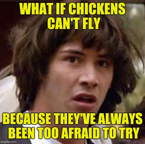 Chickens | WHAT IF CHICKENS CAN'T FLY; BECAUSE THEY'VE ALWAYS BEEN TOO AFRAID TO TRY | image tagged in memes,conspiracy keanu | made w/ Imgflip meme maker