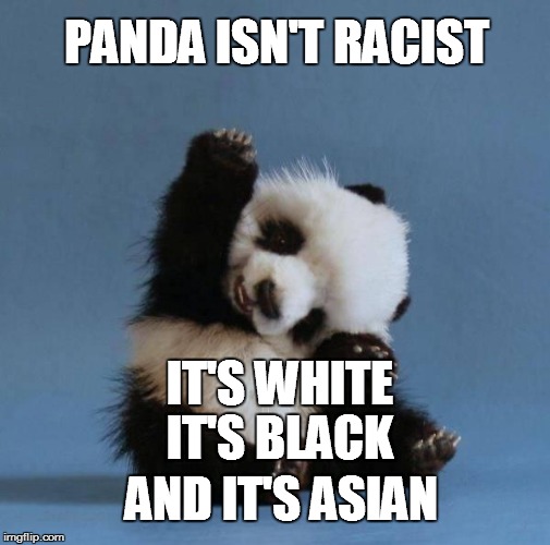 Panda | PANDA ISN'T RACIST; IT'S WHITE; IT'S BLACK; AND IT'S ASIAN | image tagged in panda | made w/ Imgflip meme maker