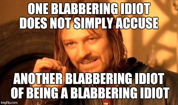 One Does Not Simply Meme | ONE BLABBERING IDIOT DOES NOT SIMPLY ACCUSE; ANOTHER BLABBERING IDIOT OF BEING A BLABBERING IDIOT | image tagged in memes,one does not simply | made w/ Imgflip meme maker