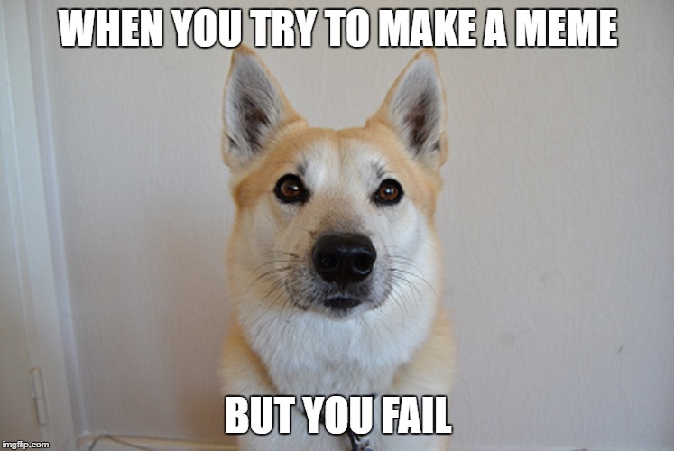 Doge 2.0 | WHEN YOU TRY TO MAKE A MEME; BUT YOU FAIL | image tagged in doge,dogs | made w/ Imgflip meme maker
