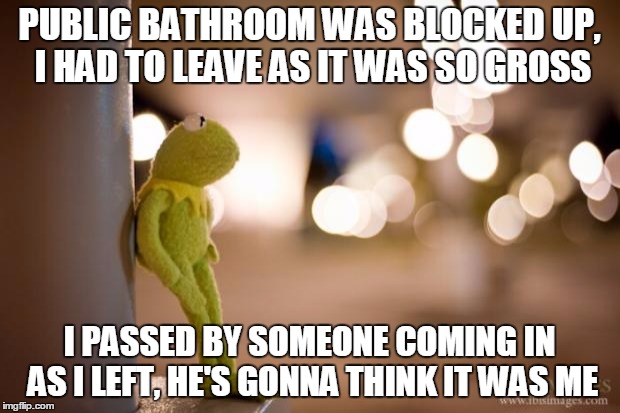 Kermit Reflecting  | PUBLIC BATHROOM WAS BLOCKED UP, I HAD TO LEAVE AS IT WAS SO GROSS; I PASSED BY SOMEONE COMING IN AS I LEFT, HE'S GONNA THINK IT WAS ME | image tagged in kermit reflecting | made w/ Imgflip meme maker