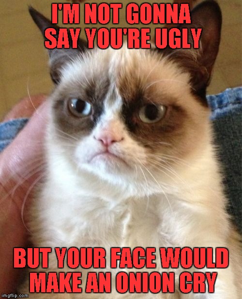 Grumpy Cat Meme | I'M NOT GONNA SAY YOU'RE UGLY; BUT YOUR FACE WOULD MAKE AN ONION CRY | image tagged in memes,grumpy cat | made w/ Imgflip meme maker