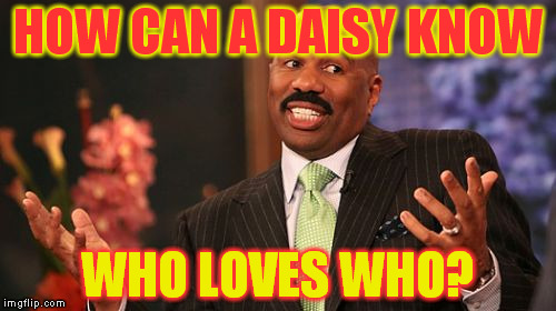 HOW CAN A DAISY KNOW; WHO LOVES WHO? | image tagged in memes,steve harvey | made w/ Imgflip meme maker