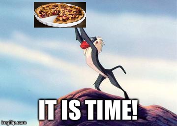 lion king | IT IS TIME! | image tagged in lion king | made w/ Imgflip meme maker