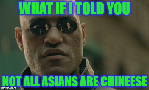 Matrix Morpheus | WHAT IF I TOLD YOU; NOT ALL ASIANS ARE CHINEESE | image tagged in memes,matrix morpheus | made w/ Imgflip meme maker
