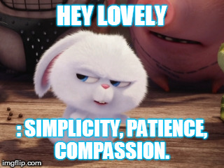 Secret Life of Pets - Snowball #3 | HEY LOVELY; : SIMPLICITY, PATIENCE, COMPASSION. | image tagged in secret life of pets - snowball 3 | made w/ Imgflip meme maker
