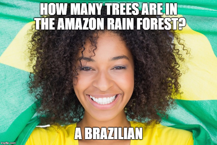 Brazilian Puns | HOW MANY TREES ARE IN THE AMAZON RAIN FOREST? A BRAZILIAN | image tagged in brazil,brazilian,puns,amazon | made w/ Imgflip meme maker