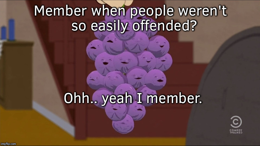 Member Berries | Member when people weren't  so easily offended? Ohh.. yeah I member. | image tagged in memes,member berries | made w/ Imgflip meme maker