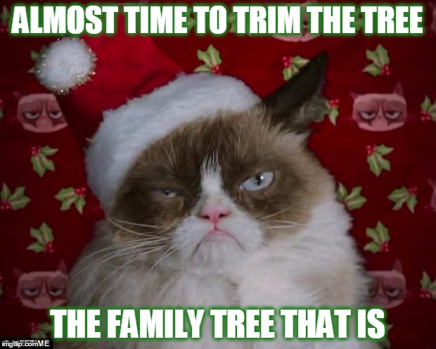 Time To Trim The Family Tree | ALMOST TIME TO TRIM THE TREE; THE FAMILY TREE THAT IS | image tagged in grumpy cat christmas,christmas,christmas tree,trim the tree,is that a clue on the tree | made w/ Imgflip meme maker