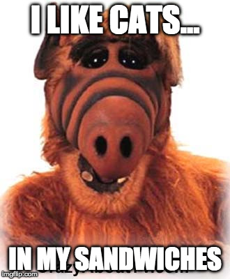 ALF | I LIKE CATS... IN MY SANDWICHES | image tagged in alf | made w/ Imgflip meme maker