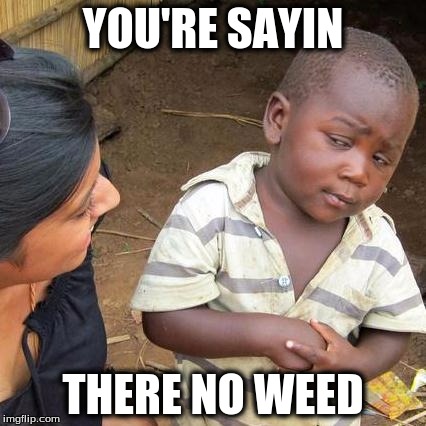 Third World Skeptical Kid | YOU'RE SAYIN; THERE NO WEED | image tagged in memes,third world skeptical kid | made w/ Imgflip meme maker