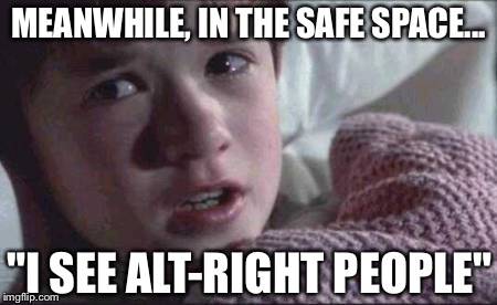 I See Dead People | MEANWHILE, IN THE SAFE SPACE... "I SEE ALT-RIGHT PEOPLE" | image tagged in memes,i see dead people | made w/ Imgflip meme maker