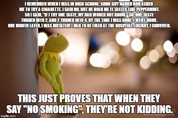 Kermit Reflecting  | I REMEMBER WHEN I WAS IN HIGH SCHOOL, SOME GUY NAMED BOB ASKED ME TO TRY A CIGARETTE. I SAID NO. BUT HE HOLD ME IT TASTES LIKE PEPPERMINT. SO I SAID, "IF I TRY ONE TASTE, MY DAD WOULD NOT KNOW." SO, ONE TASTE TURNED INTO 2, AND 2 TURNED INTO 4. BY THE TIME I WAS DONE, I WENT HOME. ONE MONTH LATER, I WAS MUTATED! I HAD TO BE FIXED AT THE HOSPITAL. LUCKILY, I SURVIVED. THIS JUST PROVES THAT WHEN THEY SAY "NO SMOKING", THEY'RE NOT KIDDING. | image tagged in kermit reflecting | made w/ Imgflip meme maker
