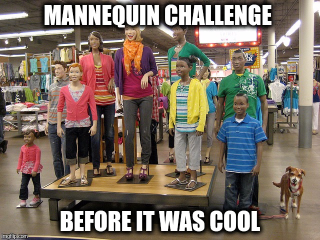Mannequin Challenge  | MANNEQUIN CHALLENGE; BEFORE IT WAS COOL | image tagged in stand up,original meme | made w/ Imgflip meme maker