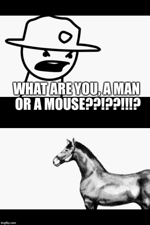 WHAT ARE YOU, A MAN OR A MOUSE??!??!!!? | image tagged in horse | made w/ Imgflip meme maker
