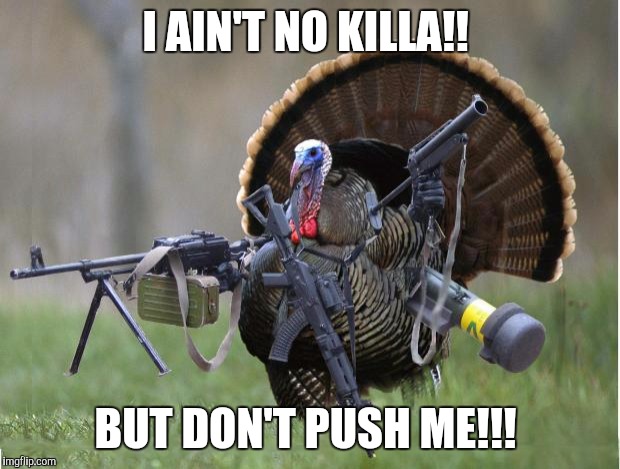 turkey | I AIN'T NO KILLA!! BUT DON'T PUSH ME!!! | image tagged in turkey,thanksgiving,happy thanksgiving,angry farm animals | made w/ Imgflip meme maker