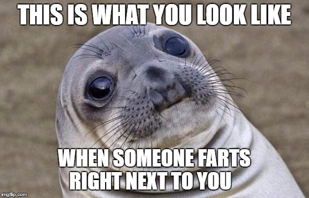 Awkward Moment Sealion Meme | THIS IS WHAT YOU LOOK LIKE; WHEN SOMEONE FARTS RIGHT NEXT TO YOU | image tagged in memes,awkward moment sealion,fart,funny | made w/ Imgflip meme maker