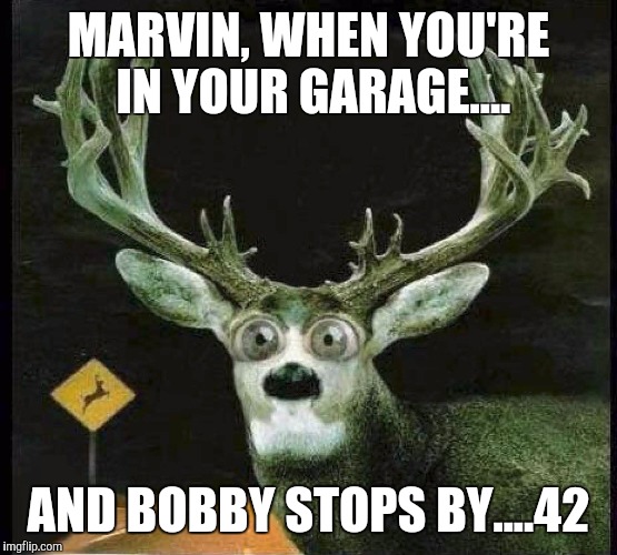 DEER IN THE HEADLIGHTS | MARVIN, WHEN YOU'RE IN YOUR GARAGE.... AND BOBBY STOPS BY....42 | image tagged in deer in the headlights | made w/ Imgflip meme maker