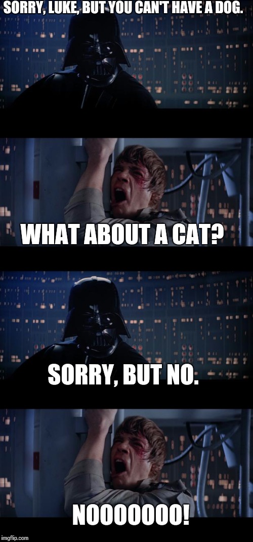 SORRY, LUKE, BUT YOU CAN'T HAVE A DOG. WHAT ABOUT A CAT? SORRY, BUT NO. NOOOOOOO! | image tagged in memes,star wars no,pets | made w/ Imgflip meme maker