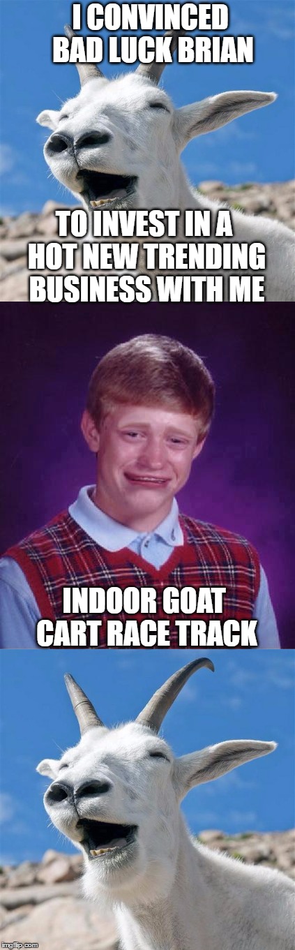 Well That Sure Got His Goat | I CONVINCED BAD LUCK BRIAN; TO INVEST IN A HOT NEW TRENDING BUSINESS WITH ME; INDOOR GOAT CART RACE TRACK | image tagged in laughing goat,bad luck brian,indoor go cart race track,bad puns | made w/ Imgflip meme maker