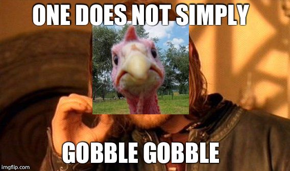 One Does Not Simply | ONE DOES NOT SIMPLY; GOBBLE GOBBLE | image tagged in memes,one does not simply | made w/ Imgflip meme maker