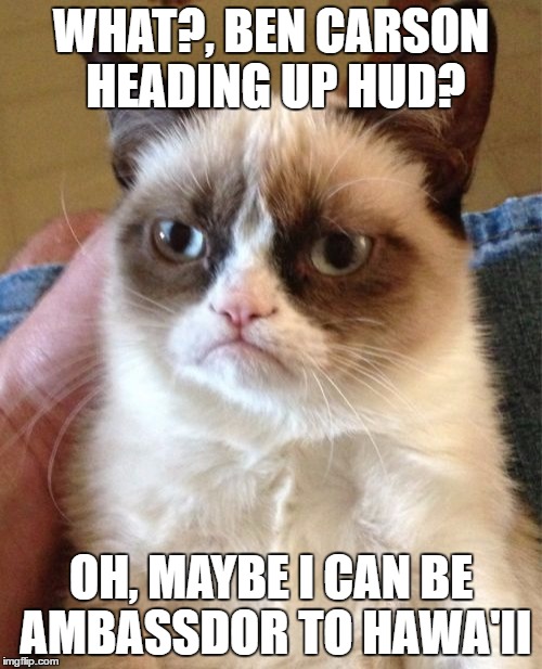 Grumpy Cat | WHAT?, BEN CARSON HEADING UP HUD? OH, MAYBE I CAN BE AMBASSDOR TO HAWA'II | image tagged in memes,grumpy cat | made w/ Imgflip meme maker