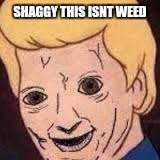 When i saw this on reddid, i only laughed for about an hour | SHAGGY THIS ISNT WEED | image tagged in shaggy this isnt weed,scooby doo | made w/ Imgflip meme maker