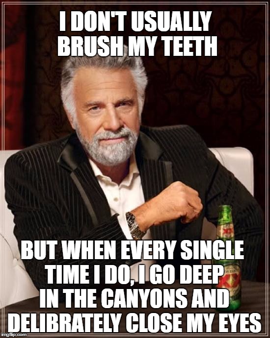 The Most Interesting Man In The World Meme | I DON'T USUALLY BRUSH MY TEETH; BUT WHEN EVERY SINGLE TIME I DO, I GO DEEP IN THE CANYONS AND DELIBRATELY CLOSE MY EYES | image tagged in memes,the most interesting man in the world | made w/ Imgflip meme maker