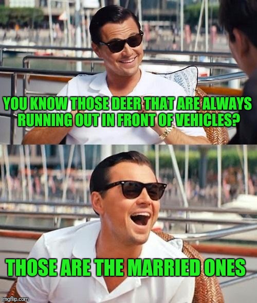 Leonardo Dicaprio Wolf Of Wall Street | YOU KNOW THOSE DEER THAT ARE ALWAYS RUNNING OUT IN FRONT OF VEHICLES? THOSE ARE THE MARRIED ONES | image tagged in memes,leonardo dicaprio wolf of wall street | made w/ Imgflip meme maker