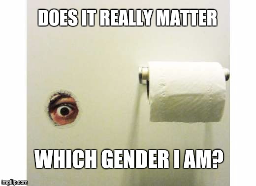 Bathroom laws involve a logical "phallus"-y. | DOES IT REALLY MATTER; WHICH GENDER I AM? | image tagged in bathroom peeping tom,hb2 | made w/ Imgflip meme maker