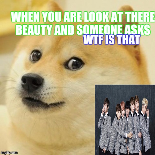 Doge | WHEN YOU ARE LOOK AT THERE BEAUTY AND SOMEONE ASKS; WTF IS THAT | image tagged in memes,doge | made w/ Imgflip meme maker