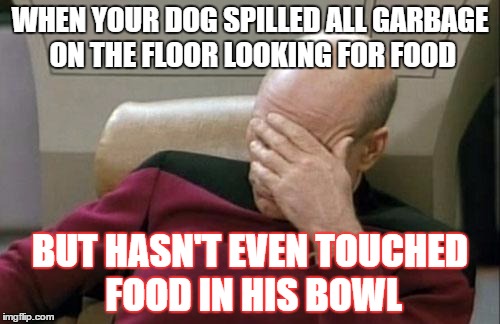 Captain Picard Facepalm Meme | WHEN YOUR DOG SPILLED ALL GARBAGE ON THE FLOOR LOOKING FOR FOOD; BUT HASN'T EVEN TOUCHED FOOD IN HIS BOWL | image tagged in memes,captain picard facepalm | made w/ Imgflip meme maker