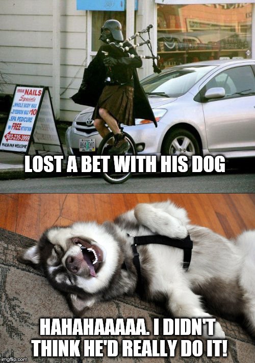 LOST A BET WITH HIS DOG; HAHAHAAAAA. I DIDN'T THINK HE'D REALLY DO IT! | image tagged in darth vader | made w/ Imgflip meme maker