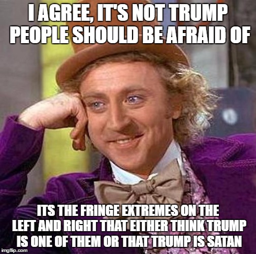 Creepy Condescending Wonka Meme | I AGREE, IT'S NOT TRUMP PEOPLE SHOULD BE AFRAID OF ITS THE FRINGE EXTREMES ON THE LEFT AND RIGHT THAT EITHER THINK TRUMP IS ONE OF THEM OR T | image tagged in memes,creepy condescending wonka | made w/ Imgflip meme maker