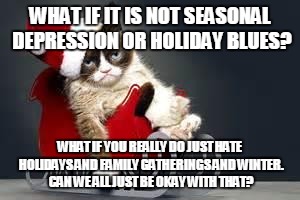 Compliance Cat Holidays | WHAT IF IT IS NOT SEASONAL DEPRESSION OR HOLIDAY BLUES? WHAT IF YOU REALLY DO JUST HATE HOLIDAYS AND FAMILY GATHERINGS AND WINTER. CAN WE ALL JUST BE OKAY WITH THAT? | image tagged in compliance cat holidays | made w/ Imgflip meme maker