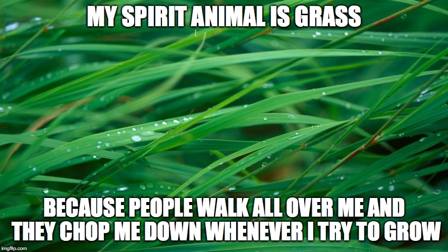 MY SPIRIT ANIMAL IS GRASS; BECAUSE PEOPLE WALK ALL OVER ME AND THEY CHOP ME DOWN WHENEVER I TRY TO GROW | image tagged in grass,spirit animal,memes,depressing | made w/ Imgflip meme maker