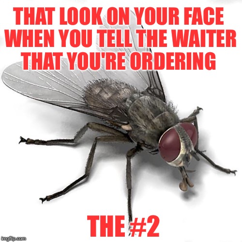 If that's not a shit eating grin, I don't know what is! | THAT LOOK ON YOUR FACE WHEN YOU TELL THE WAITER THAT YOU'RE ORDERING; THE #2 | image tagged in scumbag house fly,poop,shit | made w/ Imgflip meme maker