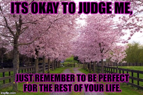 Don't judge others | ITS OKAY TO JUDGE ME, JUST REMEMBER TO BE PERFECT FOR THE REST OF YOUR LIFE. | image tagged in inspirational quote | made w/ Imgflip meme maker