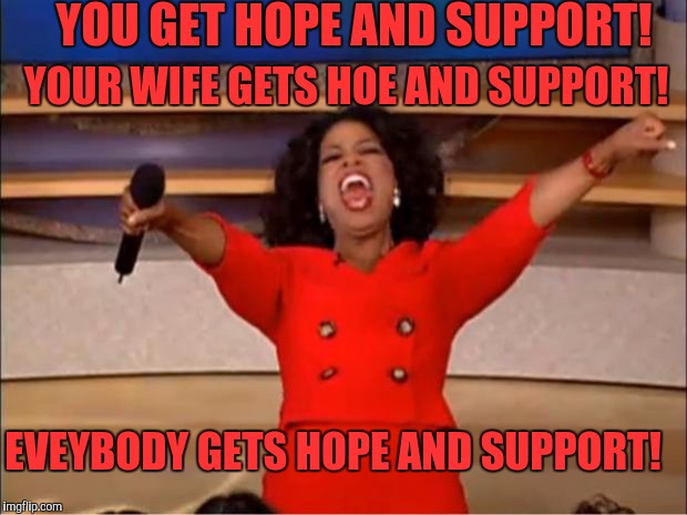Oprah You Get A Meme | YOU GET HOPE AND SUPPORT! YOUR WIFE GETS HOE AND SUPPORT! EVEYBODY GETS HOPE AND SUPPORT! | image tagged in memes,oprah you get a | made w/ Imgflip meme maker