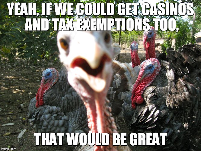 Other natives to America need reparations | YEAH, IF WE COULD GET CASINOS AND TAX EXEMPTIONS TOO, THAT WOULD BE GREAT | image tagged in turkeys,funny memes | made w/ Imgflip meme maker