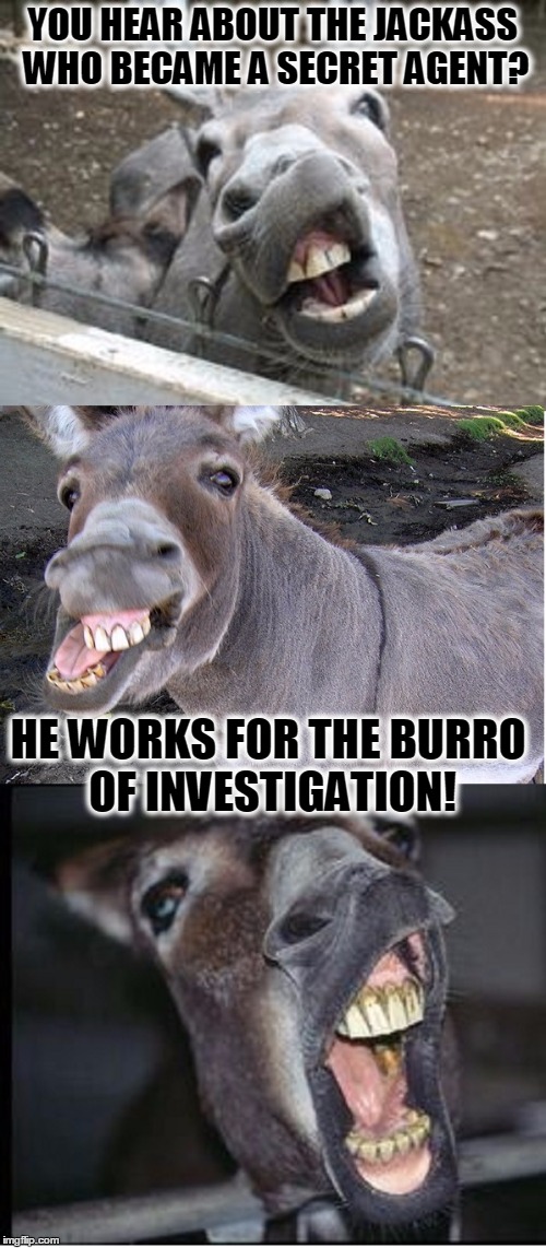 Secret Donkey Man! | YOU HEAR ABOUT THE JACKASS WHO BECAME A SECRET AGENT? HE WORKS FOR THE BURRO OF INVESTIGATION! | image tagged in meme,funny,bad pun jackass,secret agent man,fbi secret spy | made w/ Imgflip meme maker
