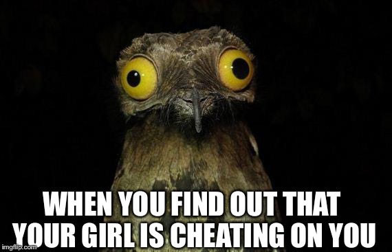 Weird Stuff I Do Potoo Meme | WHEN YOU FIND OUT THAT YOUR GIRL IS CHEATING ON YOU | image tagged in memes,weird stuff i do potoo | made w/ Imgflip meme maker