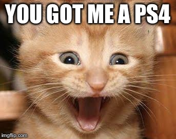 Excited Cat Meme | YOU GOT ME A PS4 | image tagged in memes,excited cat | made w/ Imgflip meme maker