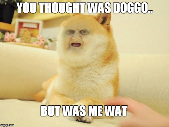 You thought was doggo.. | YOU THOUGHT WAS DOGGO.. BUT WAS ME WAT | image tagged in wat,dog,funny,funny memes,funny meme | made w/ Imgflip meme maker