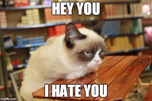 Grumpy Cat Table Meme | HEY YOU; I HATE YOU | image tagged in memes,grumpy cat table,grumpy cat | made w/ Imgflip meme maker