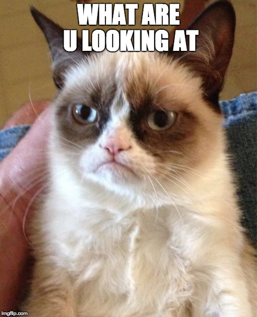 Grumpy Cat Meme | WHAT ARE U LOOKING AT | image tagged in memes,grumpy cat | made w/ Imgflip meme maker