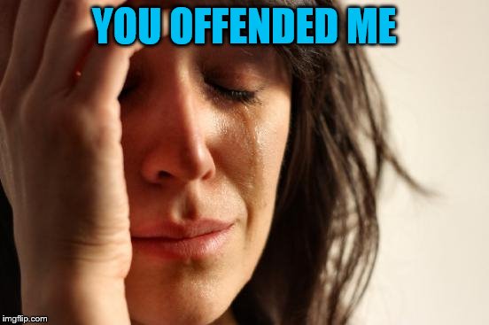 First World Problems Meme | YOU OFFENDED ME | image tagged in memes,first world problems | made w/ Imgflip meme maker