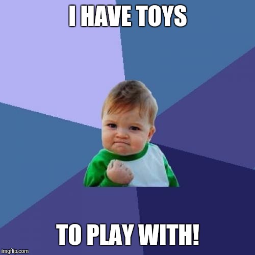 Success Kid Meme | I HAVE TOYS TO PLAY WITH! | image tagged in memes,success kid | made w/ Imgflip meme maker